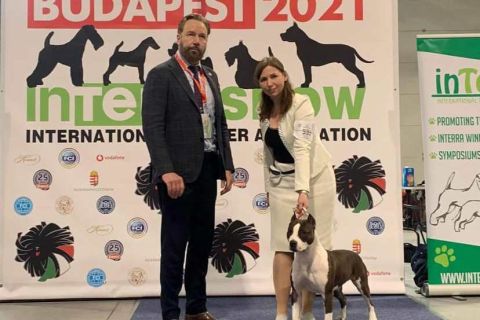 Interra Show - Budapest 2021