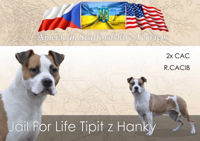 Jail for Life Tipit z Hanky