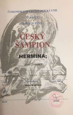 Hermina Tipit z Hanky