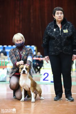 Сordelia Strider in Diversity