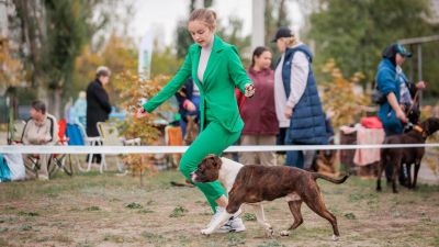 Missnar`s Hernan Cortes