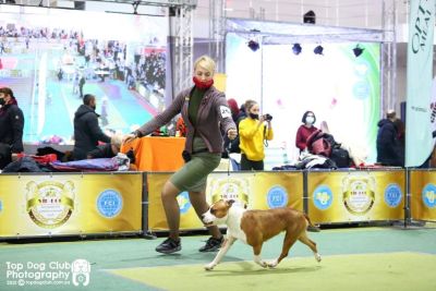 Сordelia Strider in Diversity