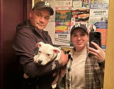Щенок №141 Brooklyn Strider un Diversity