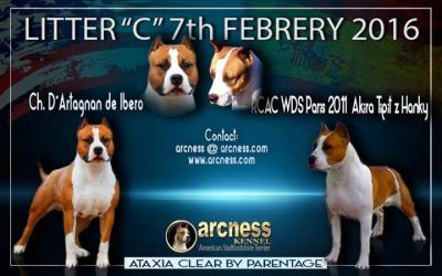 Calima De Arcness