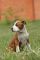 Сordelia Strider in Diversity