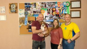 Щенок № 29 Concord Strider in Diversity