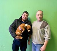 Щенок № 48 Harvey Strider in Diversity