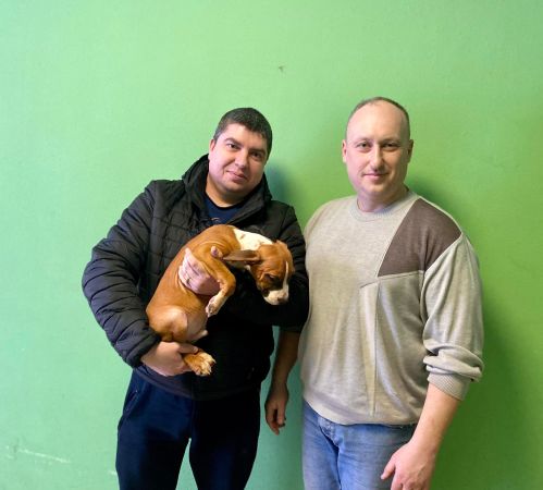 Щенок № 48 Harvey Strider in Diversity