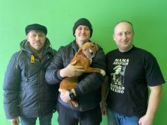 Щенок № 45 Hubert Strider in Diversity