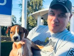 Puppy № 181 Kai Strider in Diversity