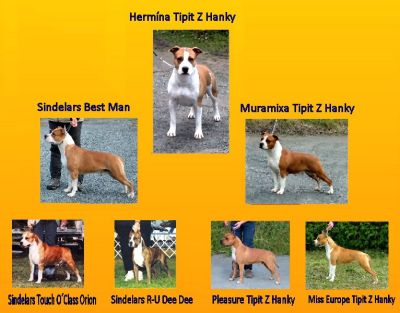Hermina Tipit z Hanky