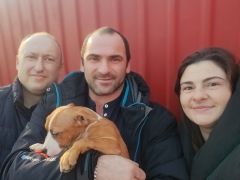 Щенок № 50 Raul Strider in Diversity