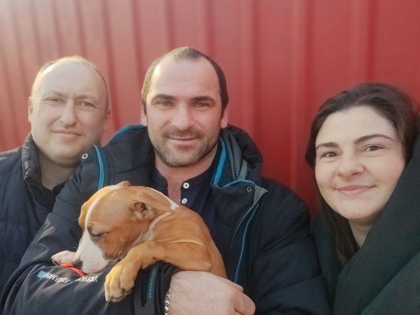Щенок № 50 Raul Strider in Diversity