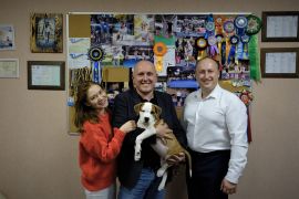 Щенок № 30 William Strider in Diversity